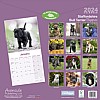 Staffie Puppy Calendar